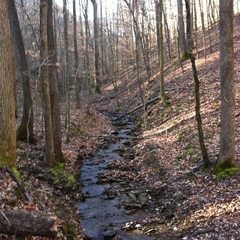 Buck Creek Trail - 2